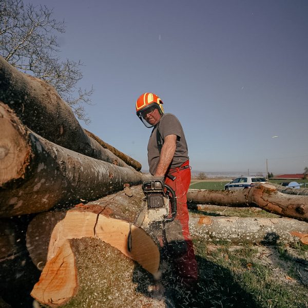 1a45d32c-369d-4783-a809-4e34a0196a56-2