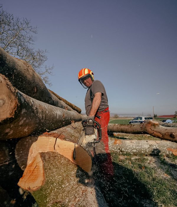 1a45d32c-369d-4783-a809-4e34a0196a56-2